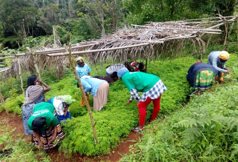 Sustainable Agriculture: Providing for the Land, the People and the Planet