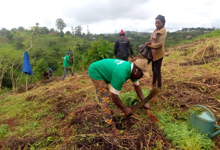 Green Landscape Foundation